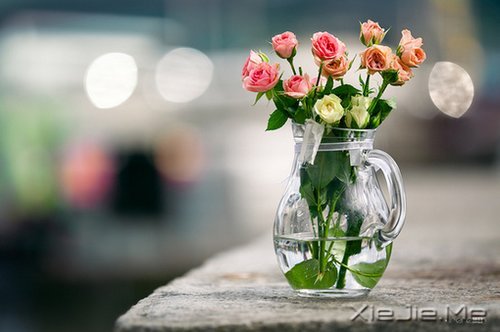 ף���������������ܱ����ڹ��ø���