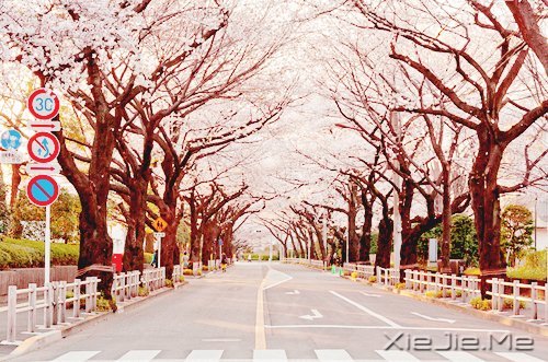 ����·�ϵ�20���ǻ���¼