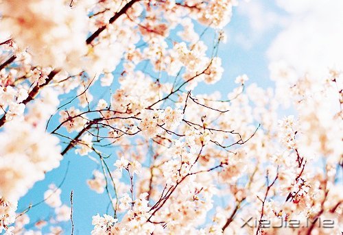 2014����12�������ı��Լ� (4)