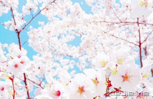 ������¼��50�������ľ��� (1)