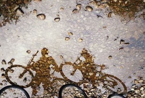 14�׹�����Ĵ������Ƽ� (15)