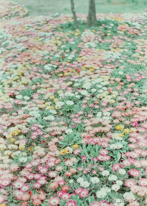 С�������֣�ʱ�������� (3)