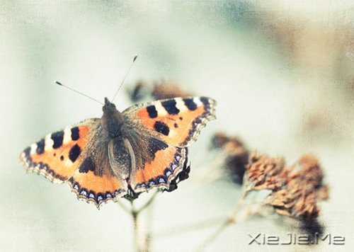 ������������ȥ�������ļ�