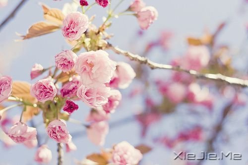 �����Ҹ���20��˲�� (3)