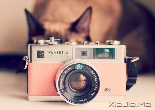 ����ϵͼƬ (1)