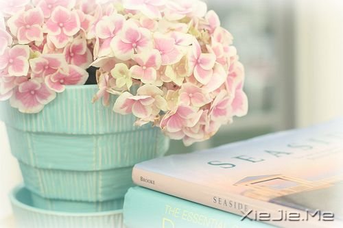 �������غ� (7)